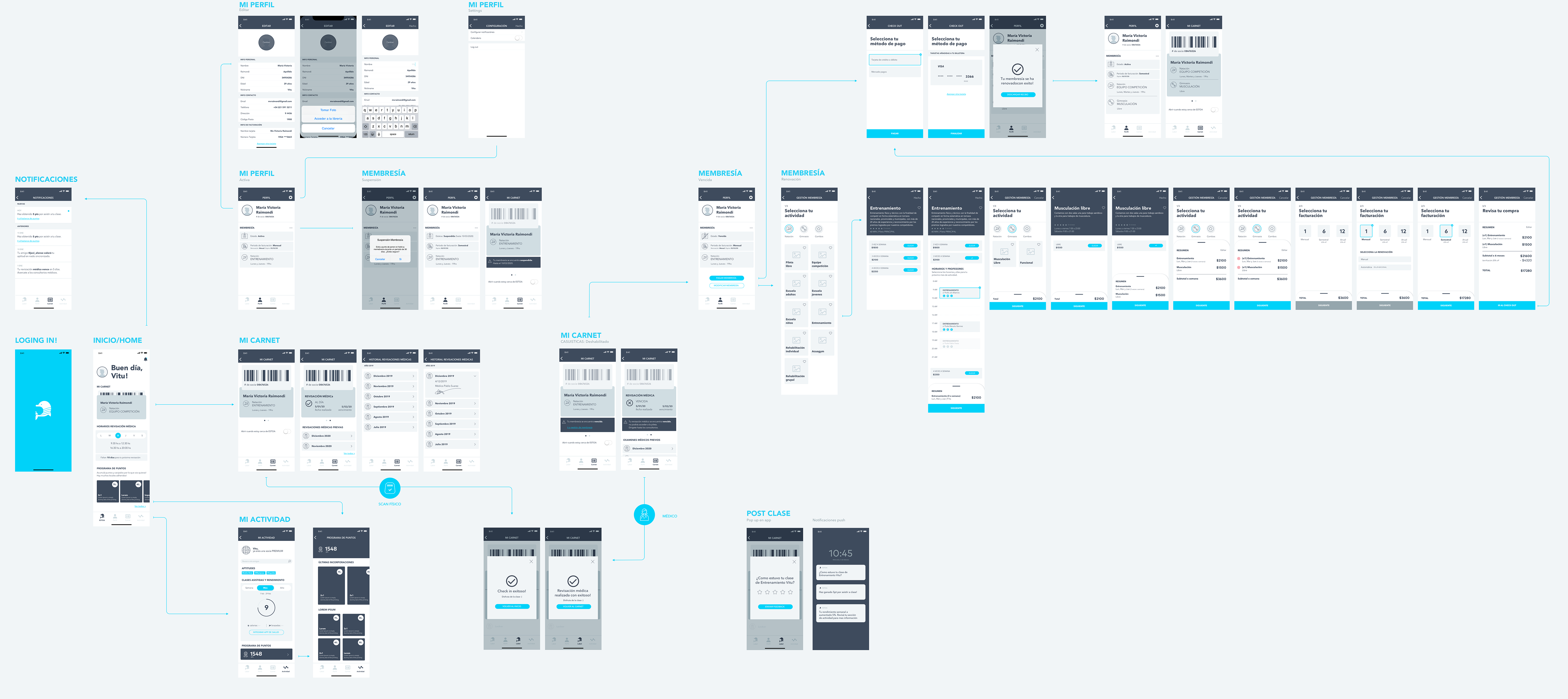 flowmap